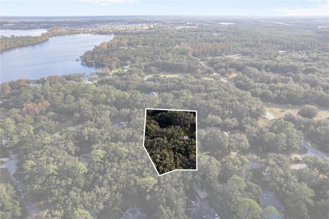 17012 PICKETTS COVE ROAD, Orlando, FL 32820