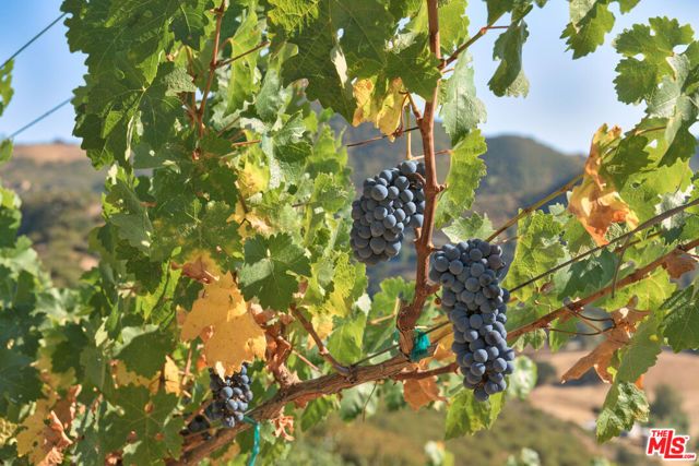 340 N Kanan Dume Road, Malibu, CA 90265