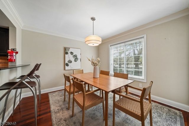 217 Terrace Dr, Chatham Twp., NJ 07928