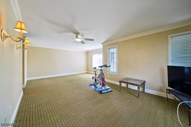 217 Terrace Dr, Chatham Twp., NJ 07928