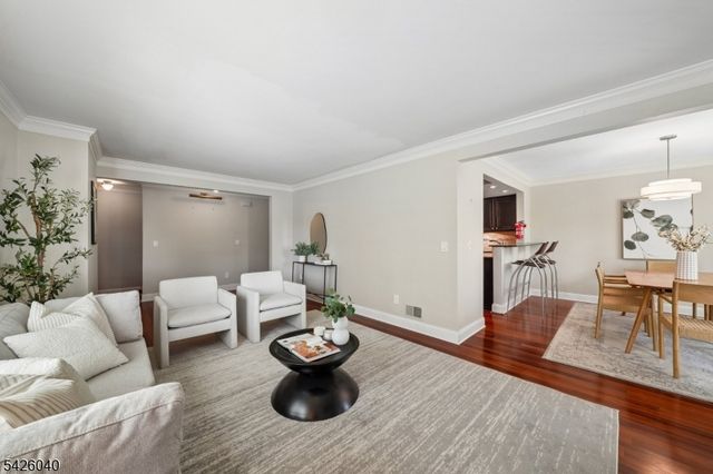 217 Terrace Dr, Chatham Twp., NJ 07928