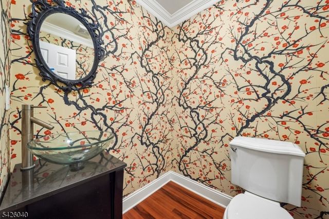 217 Terrace Dr, Chatham Twp., NJ 07928