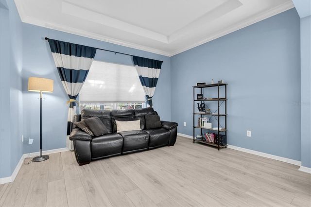 10223 CARAWAY SPICE AVENUE, Riverview, FL 33578