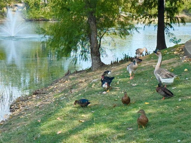 1005 Northwood Lane, Royse City, TX 75189