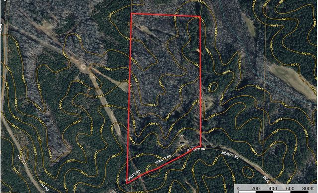 1042 BEAUTY RD, Bethel Springs, TN 38315