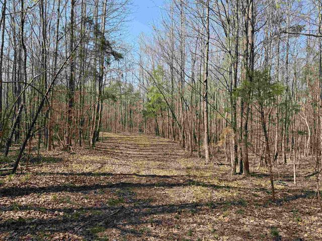 1042 BEAUTY RD, Bethel Springs, TN 38315