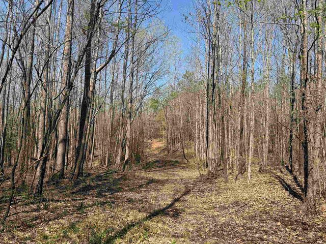 1042 BEAUTY RD, Bethel Springs, TN 38315