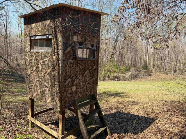 1042 BEAUTY RD, Bethel Springs, TN 38315