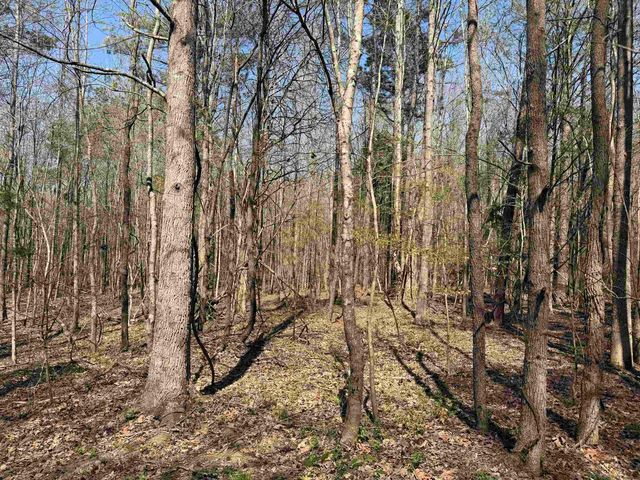 1042 BEAUTY RD, Bethel Springs, TN 38315