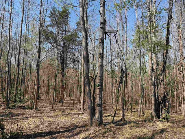 1042 BEAUTY RD, Bethel Springs, TN 38315