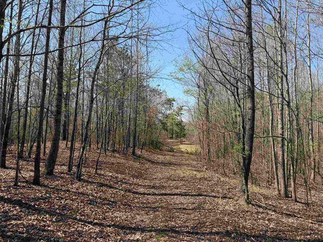 1042 BEAUTY RD, Bethel Springs, TN 38315