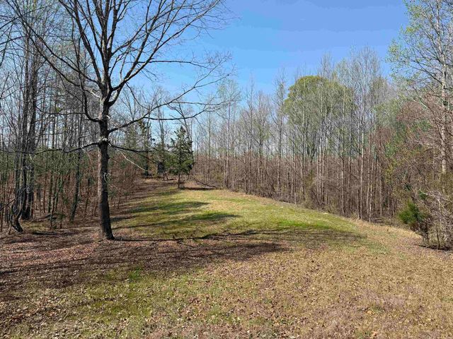 1042 BEAUTY RD, Bethel Springs, TN 38315