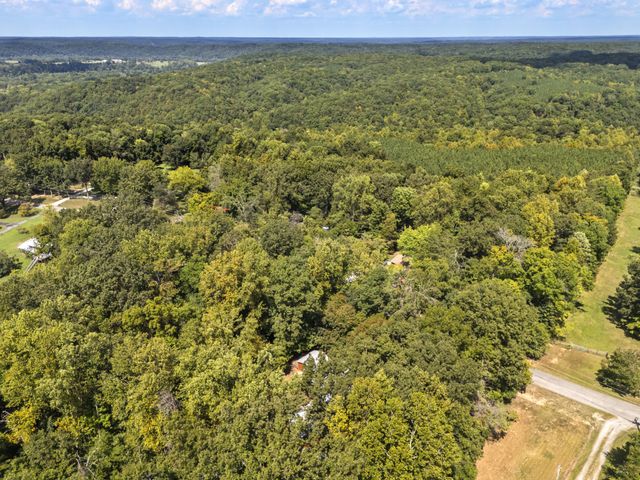 1035 Riverview Rd, Centerville, TN 37033