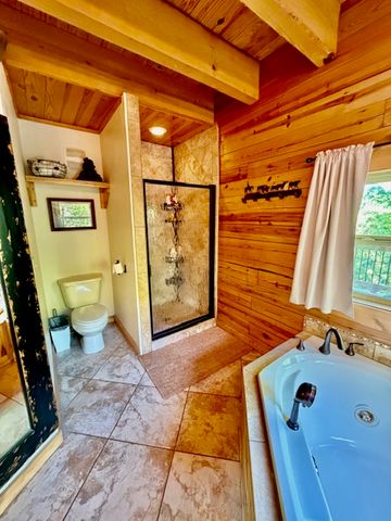 369 Lake Forest Drive, Eureka Springs, AR 72631