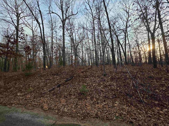 7 Lots Cherokee Village, Cherokee Village, AR 72529