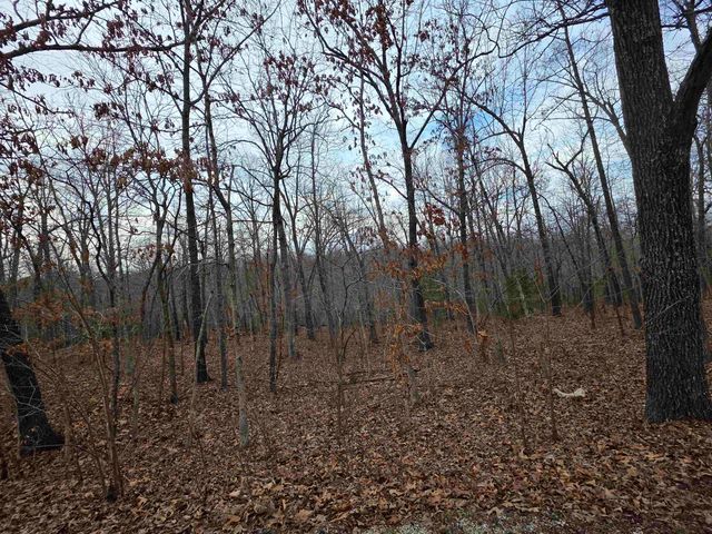 7 Lots Cherokee Village, Cherokee Village, AR 72529