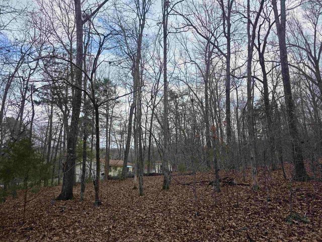 7 Lots Cherokee Village, Cherokee Village, AR 72529