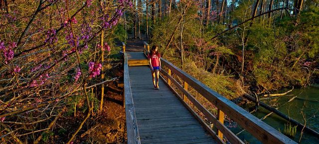 211 Woodstock, Livingston, TX 77351