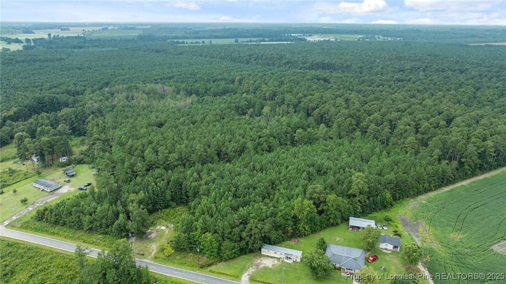 3045 Bridgers Road, Rowland, NC 28383
