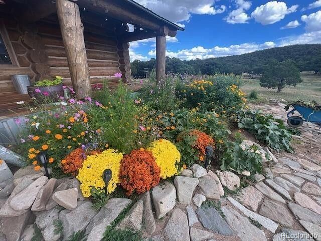 484 Gordon Dr, Walsenburg, CO 81089