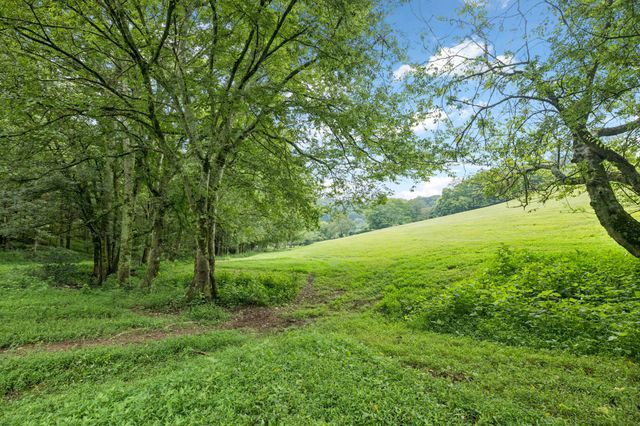 994 Bull Run Rd, Lynchburg, TN 37352