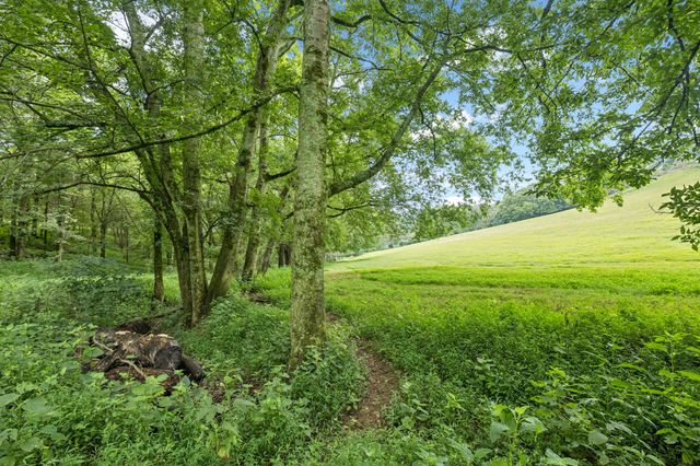 994 Bull Run Rd, Lynchburg, TN 37352