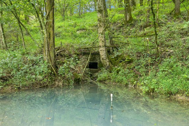 994 Bull Run Rd, Lynchburg, TN 37352