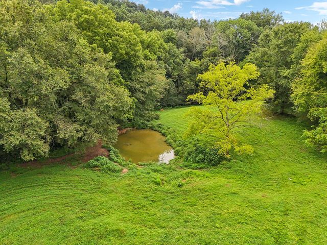 994 Bull Run Rd, Lynchburg, TN 37352