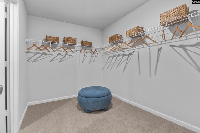 168 Calm Citadel Drive, Pelion, SC 29123