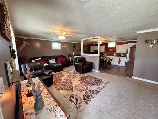 1465 Turnipseed Rd, Ashland City, TN 37015