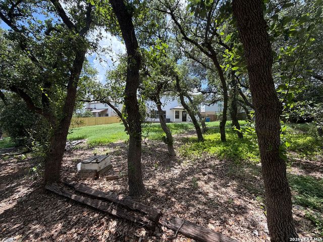 25610 Crimson Beauty, San Antonio, TX 78260