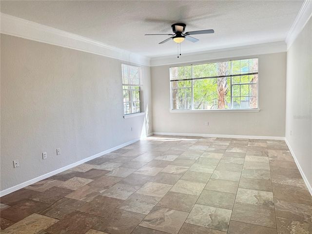 17114 CARRINGTON PARK DRIVE 207, Tampa, FL 33647