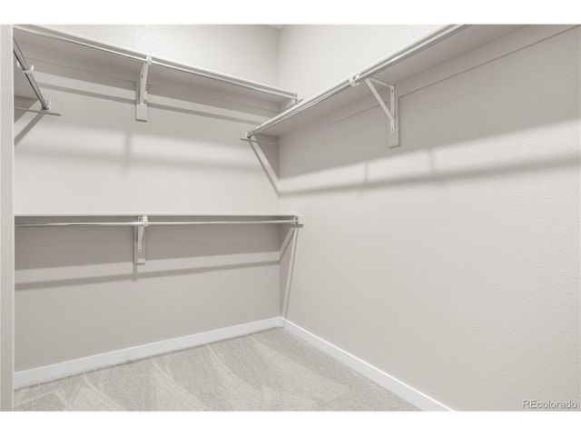 12107 Amplify Cir, Parker, CO 80134