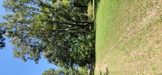 Lot# 337 South Morning Glory Lane, Battlefield, MO 65619