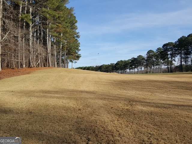 104 Hawks Court, Ball Ground, GA 30107