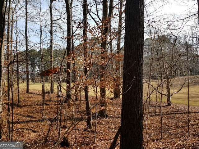 104 Hawks Court, Ball Ground, GA 30107