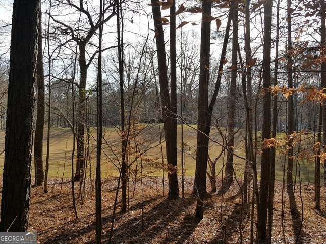 104 Hawks Court, Ball Ground, GA 30107