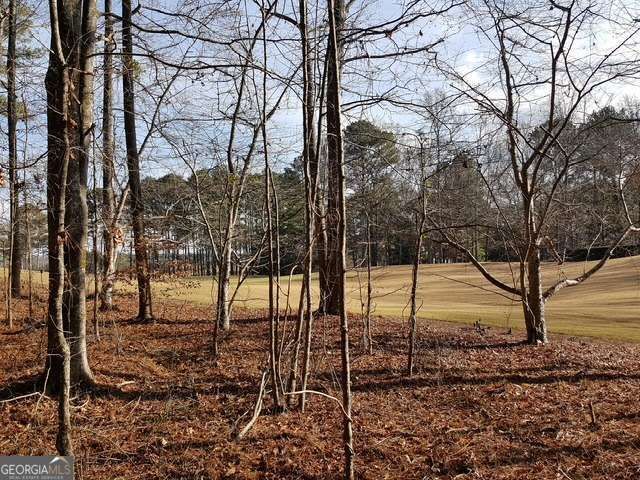 104 Hawks Court, Ball Ground, GA 30107