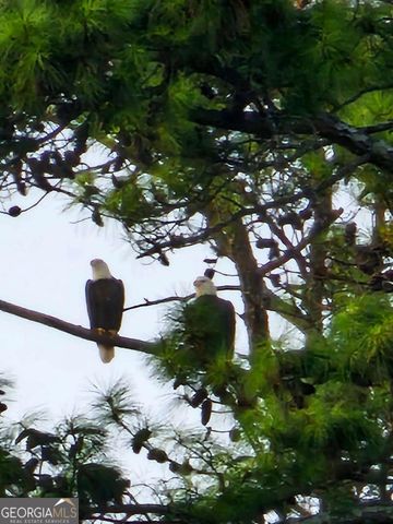 104 Hawks Court, Ball Ground, GA 30107