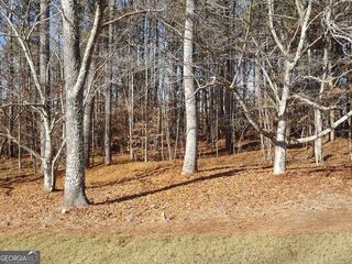 104 Hawks Court, Ball Ground, GA 30107