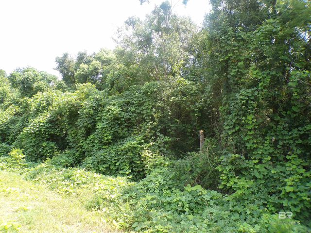 Lipscomb Road, Foley, AL 36535