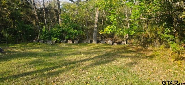 17320 County Road 1182, Flint, TX 75762