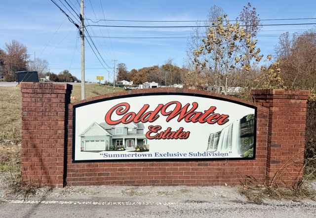 658 Springwater Dr, Summertown, TN 38483