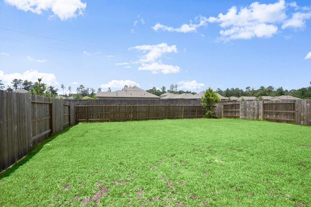 3149 Catalonion Court, Conroe, TX 77301