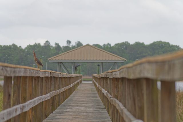 1179 Rivers Reach Drive, Charleston, SC 29492