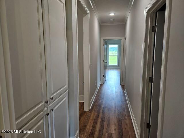 232 Lost Oak Lane, Brandon, MS 39047
