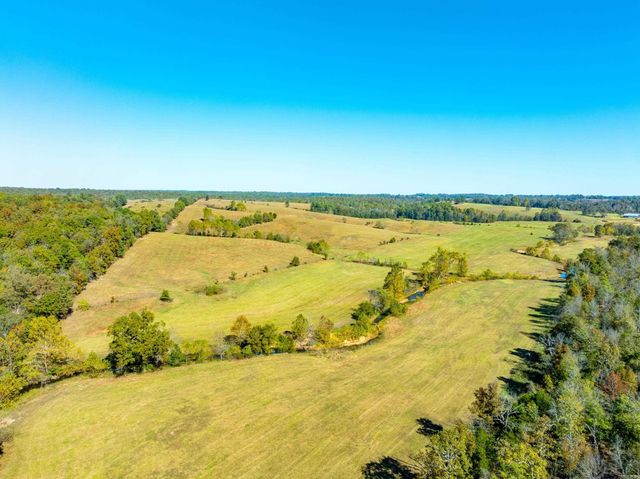 717 Green Valley Ln, Viola, AR 72583
