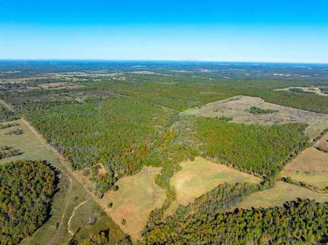 717 Green Valley Ln, Viola, AR 72583