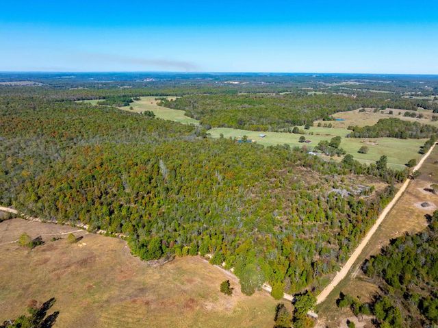 717 Green Valley Ln, Viola, AR 72583