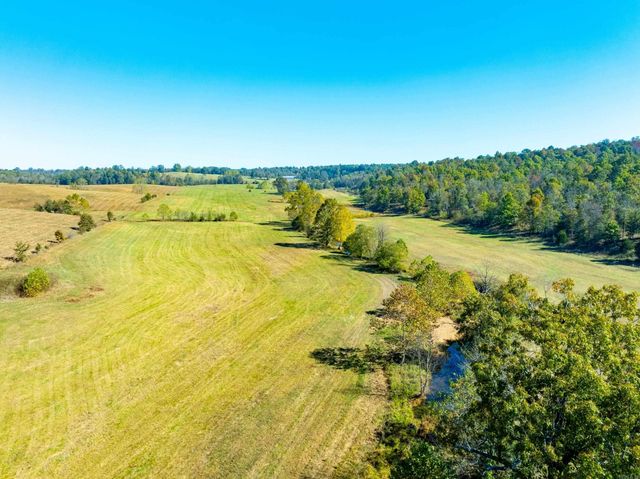 717 Green Valley Ln, Viola, AR 72583